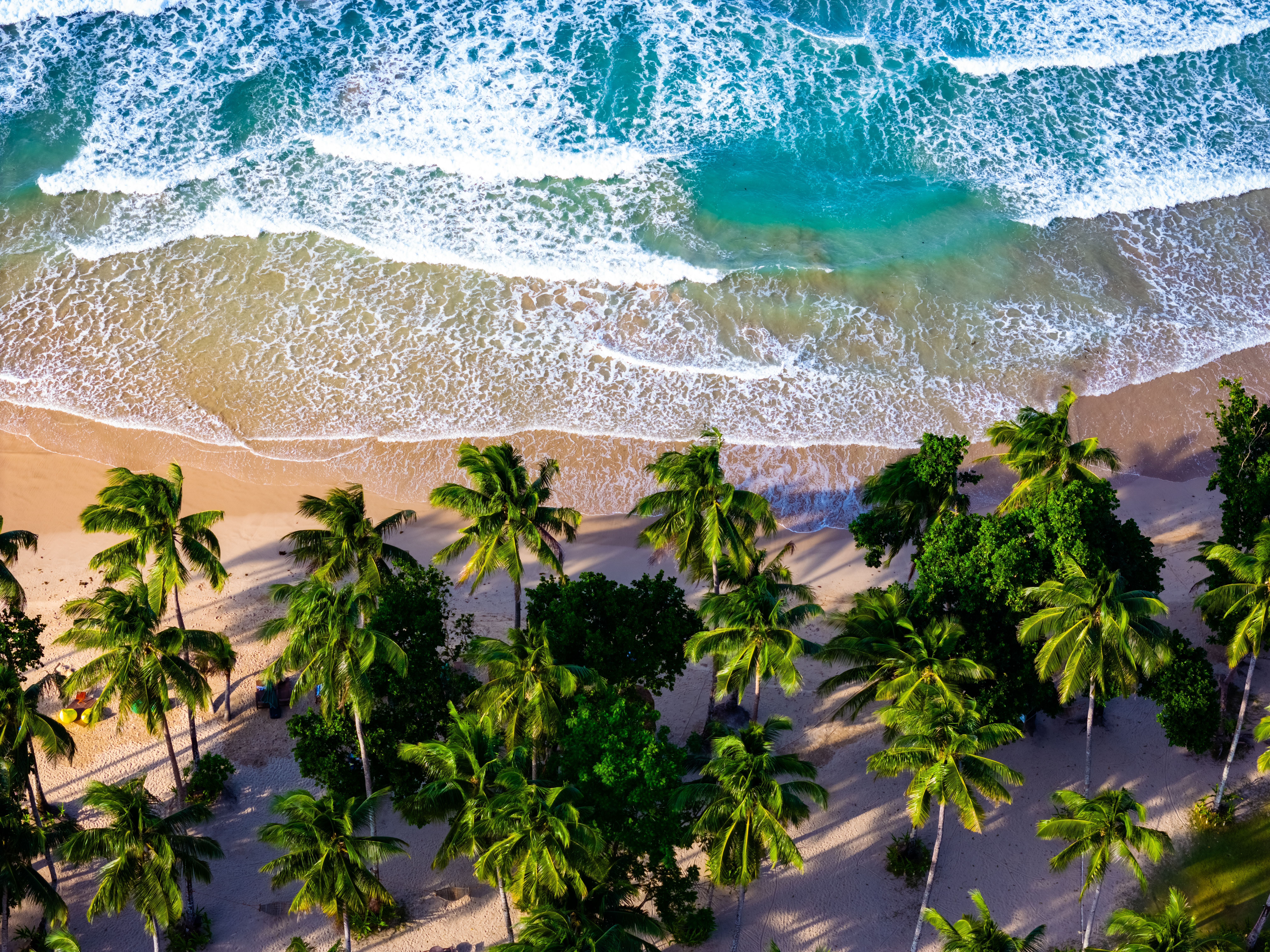 8064x6048 Palawan Beach Photo, Download The BEST Free Palawan Beach & HD Image