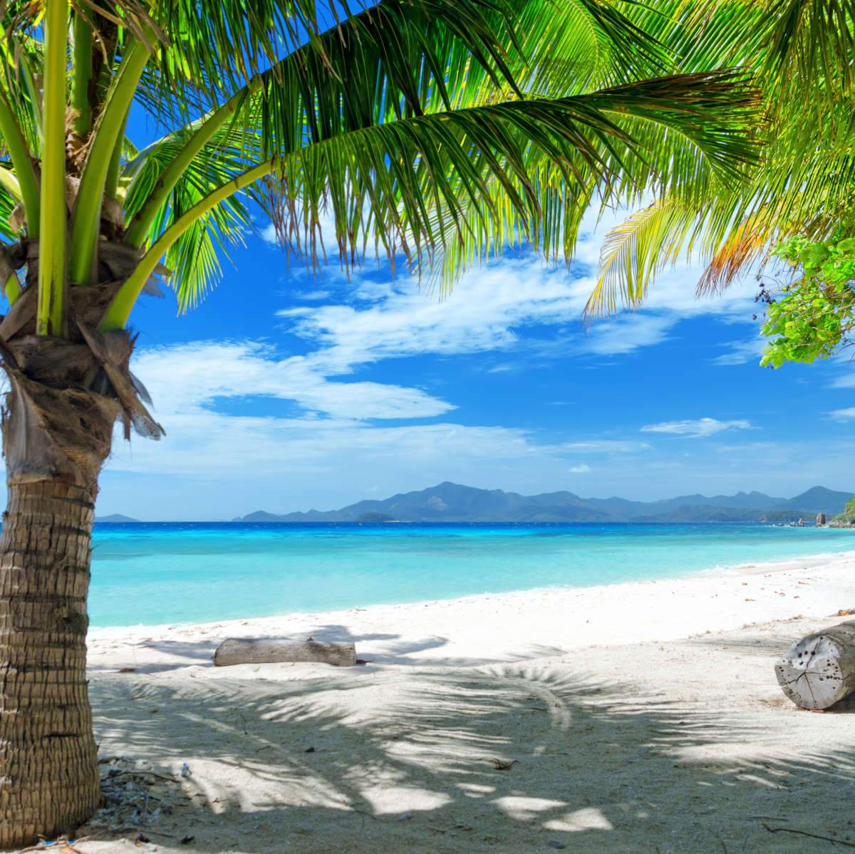 1200x1199 Palawan Philippines Wall Art. Canvas Art, Art Prints & Framed Canvas