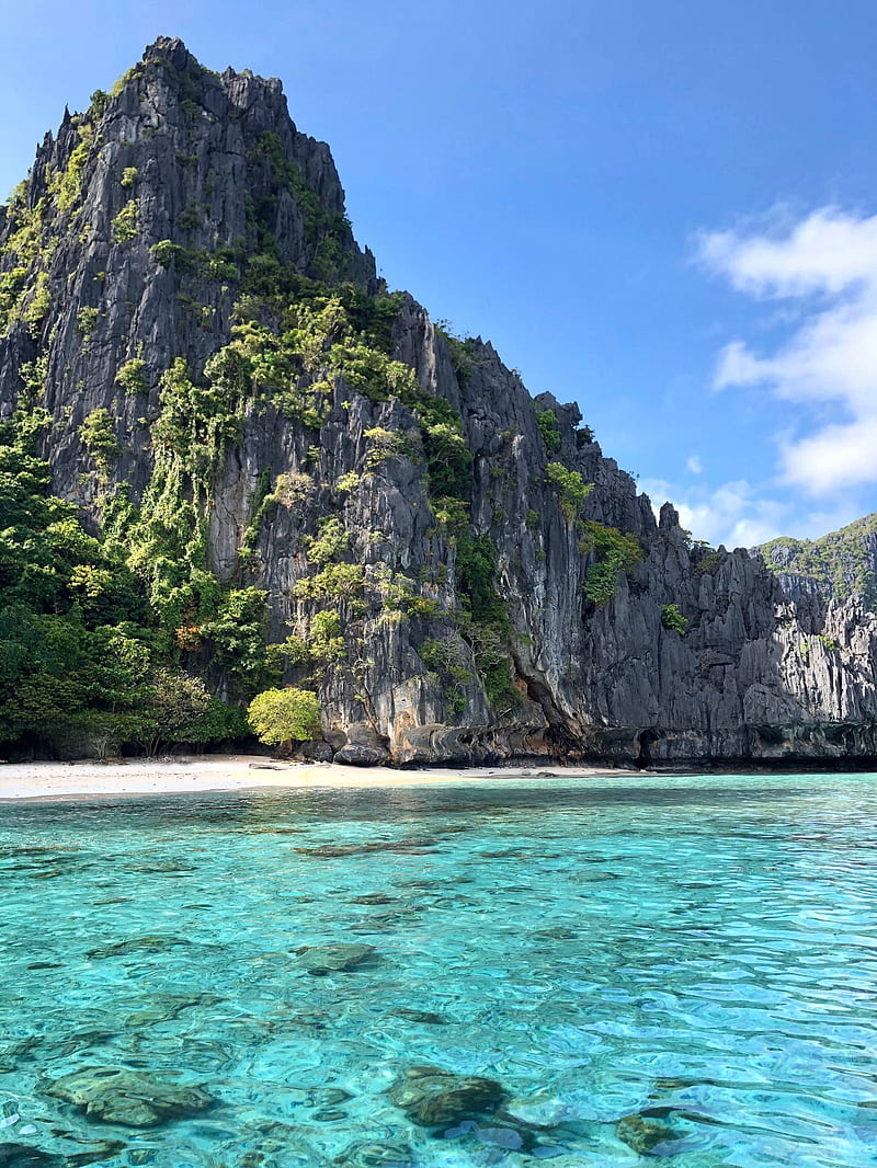 800x1066 HD palawan wallpaper