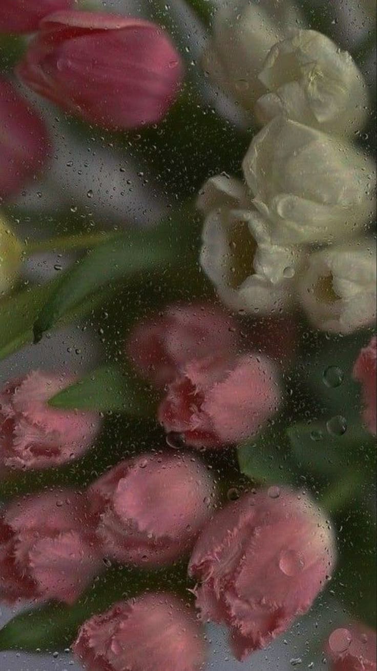 736x1308 Floral Rain Wallpaper