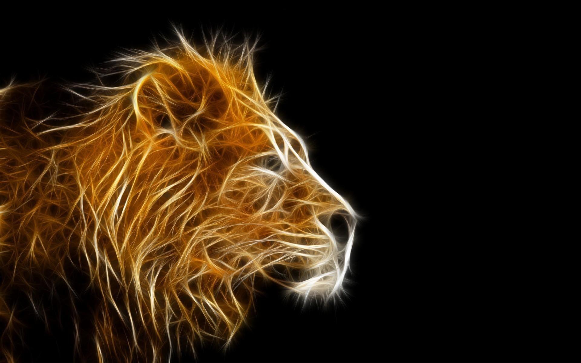 1920x1200 Wallpaper Lion