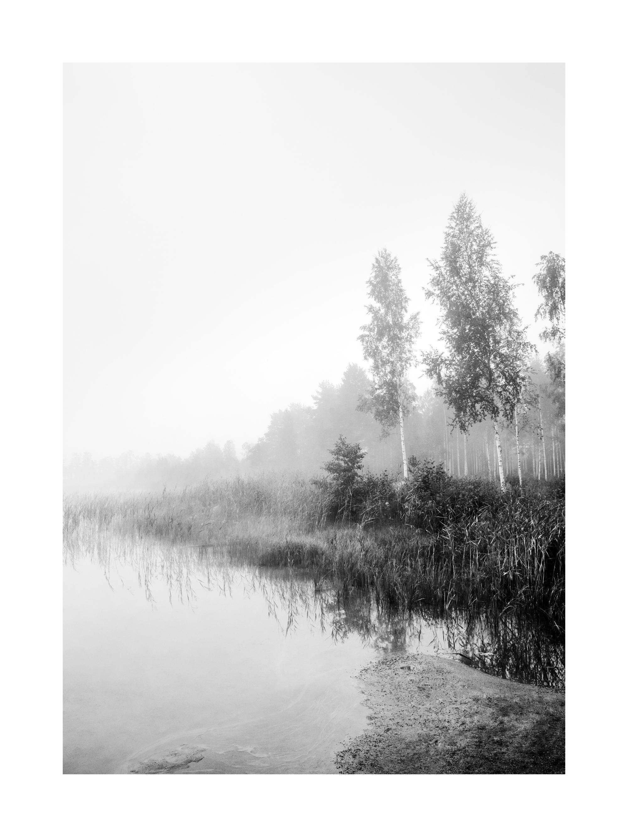 2000x2667 Monochrome Mist Print 12 x 16 in