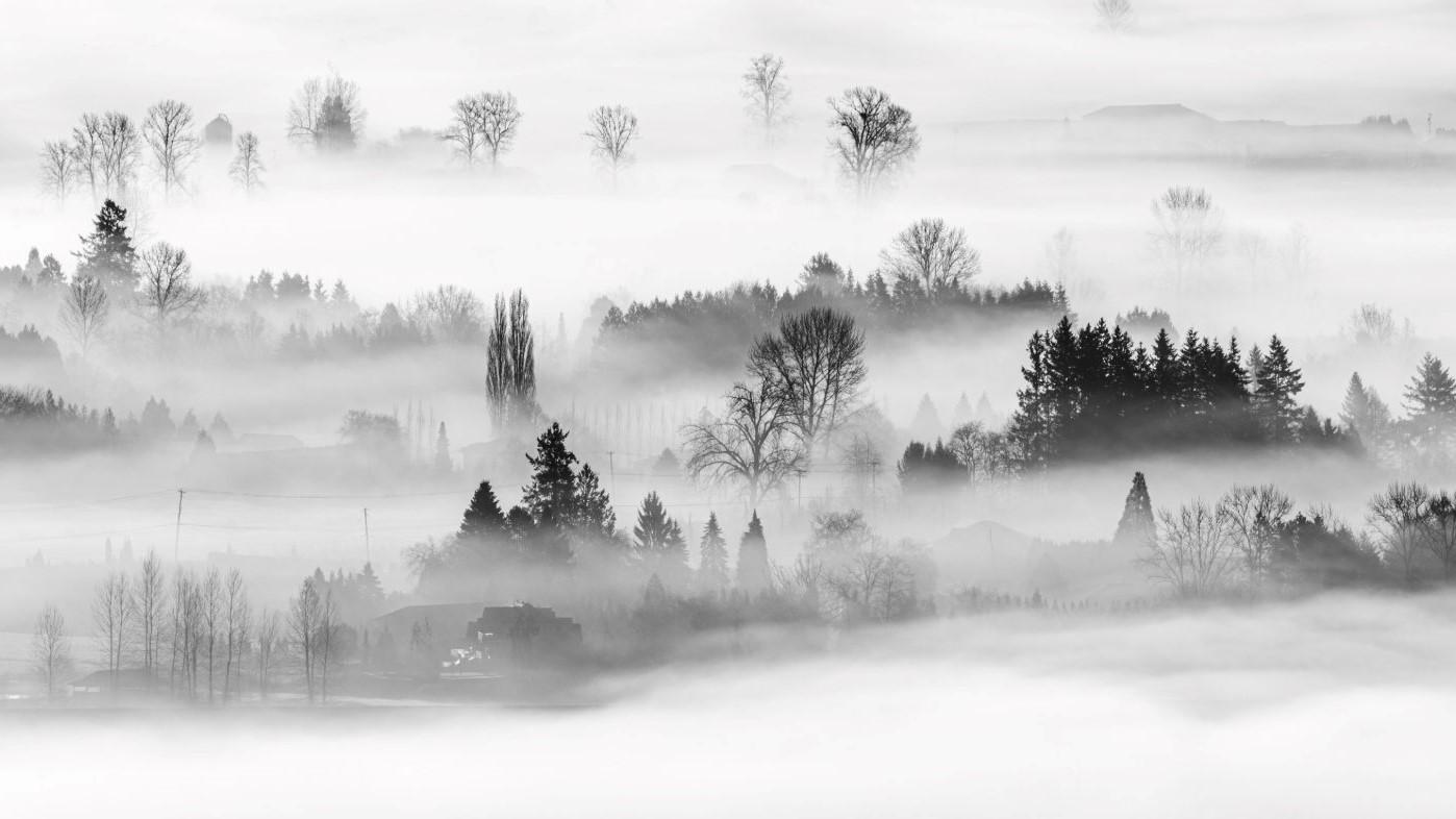 1398x786 Forest Landscape in the fog and White Photo