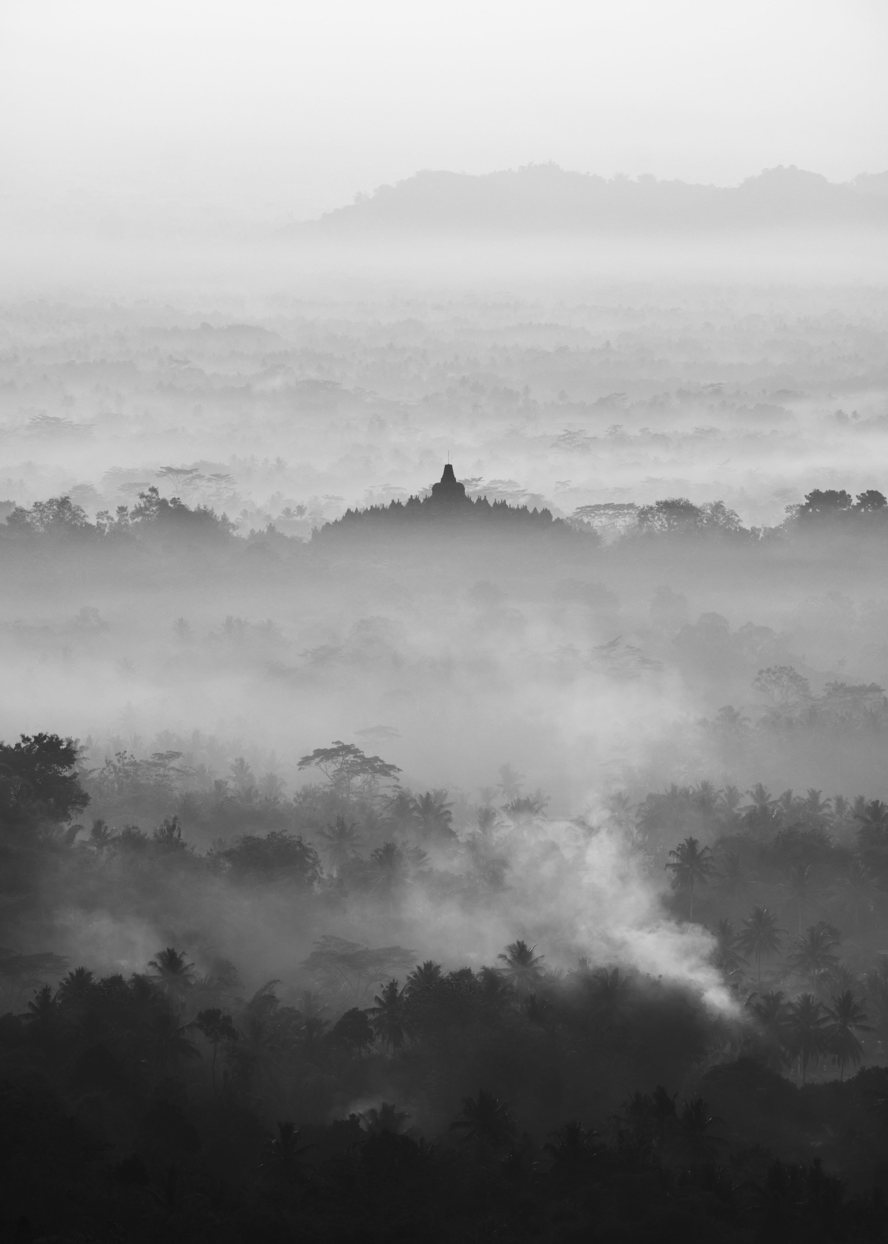 3000x4200 A black and white photo of a foggy forest photo