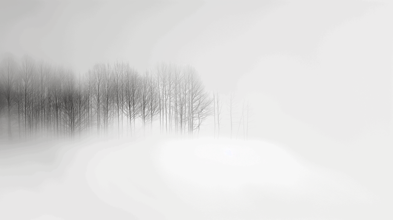 1344x753 Free picture: Trees in a dense fog, a black and white landscape of a foggy scenic