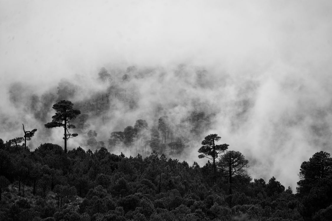1125x750 Black and White Landscape of Fog Covering the Mountains · Free