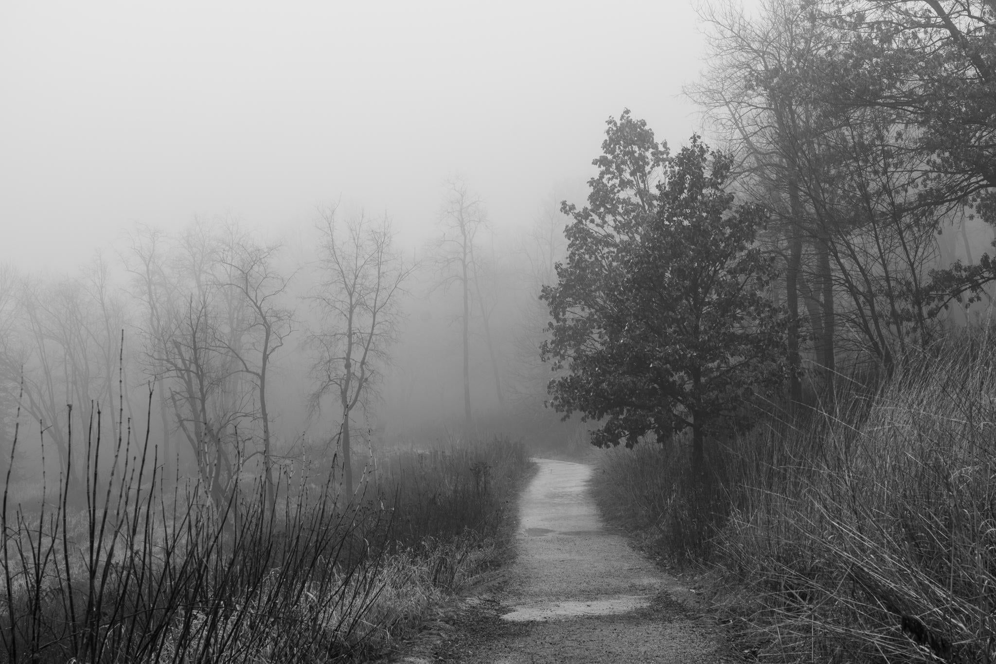 2048x1365 Fog landscape photo would you do differently?