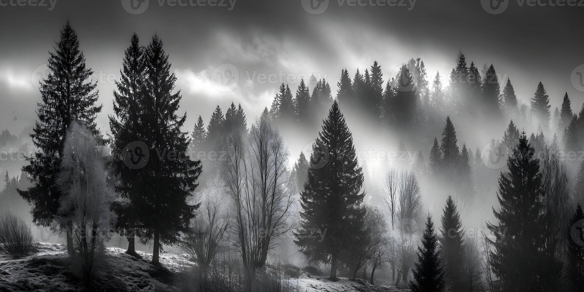 1960x980 A dramatic black and white landscape features a dense forest of evergreen and bare trees enveloped in a mystical morning fog