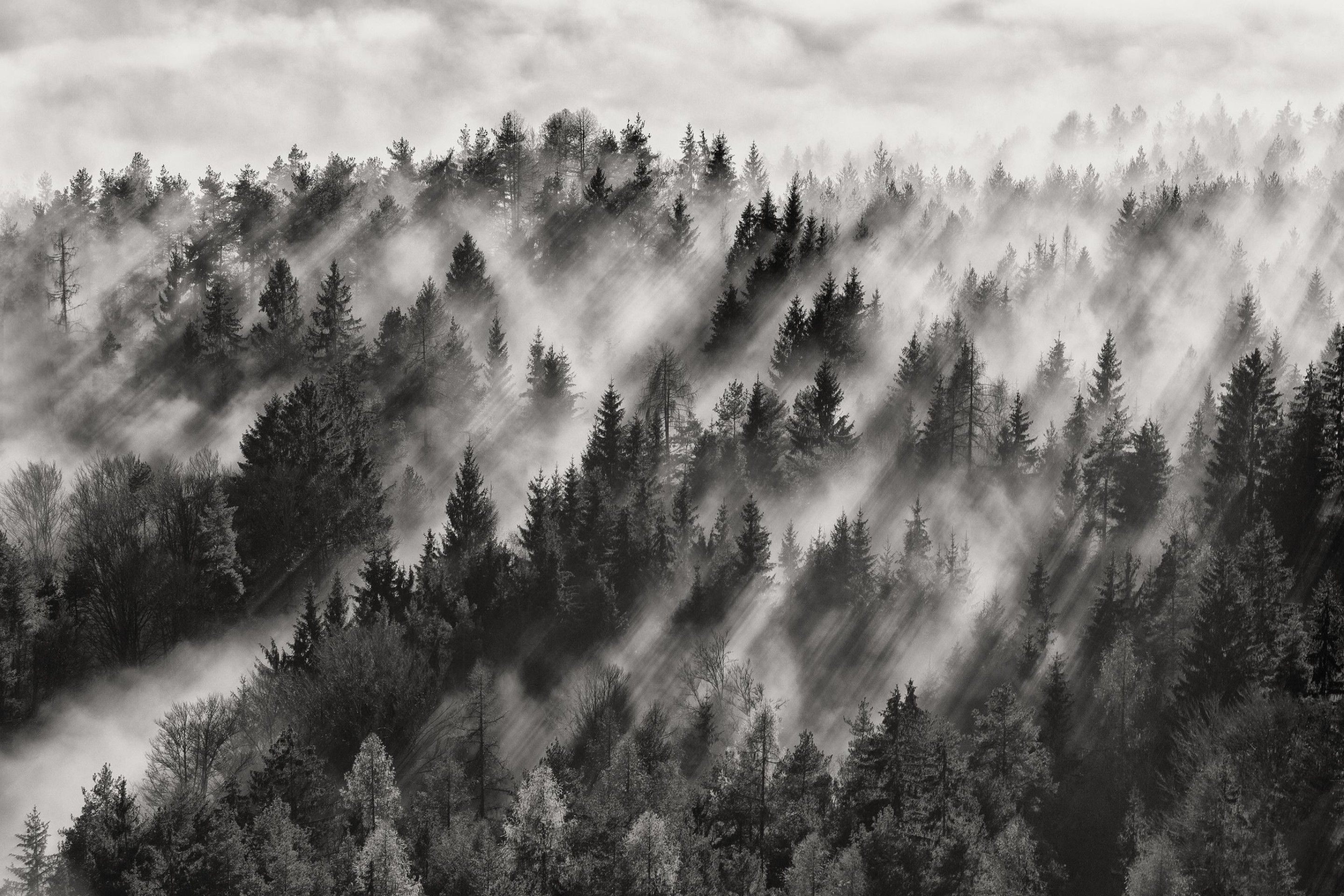 2880x1920 Photo wallpaper Foggy Landscape from Scandiwall