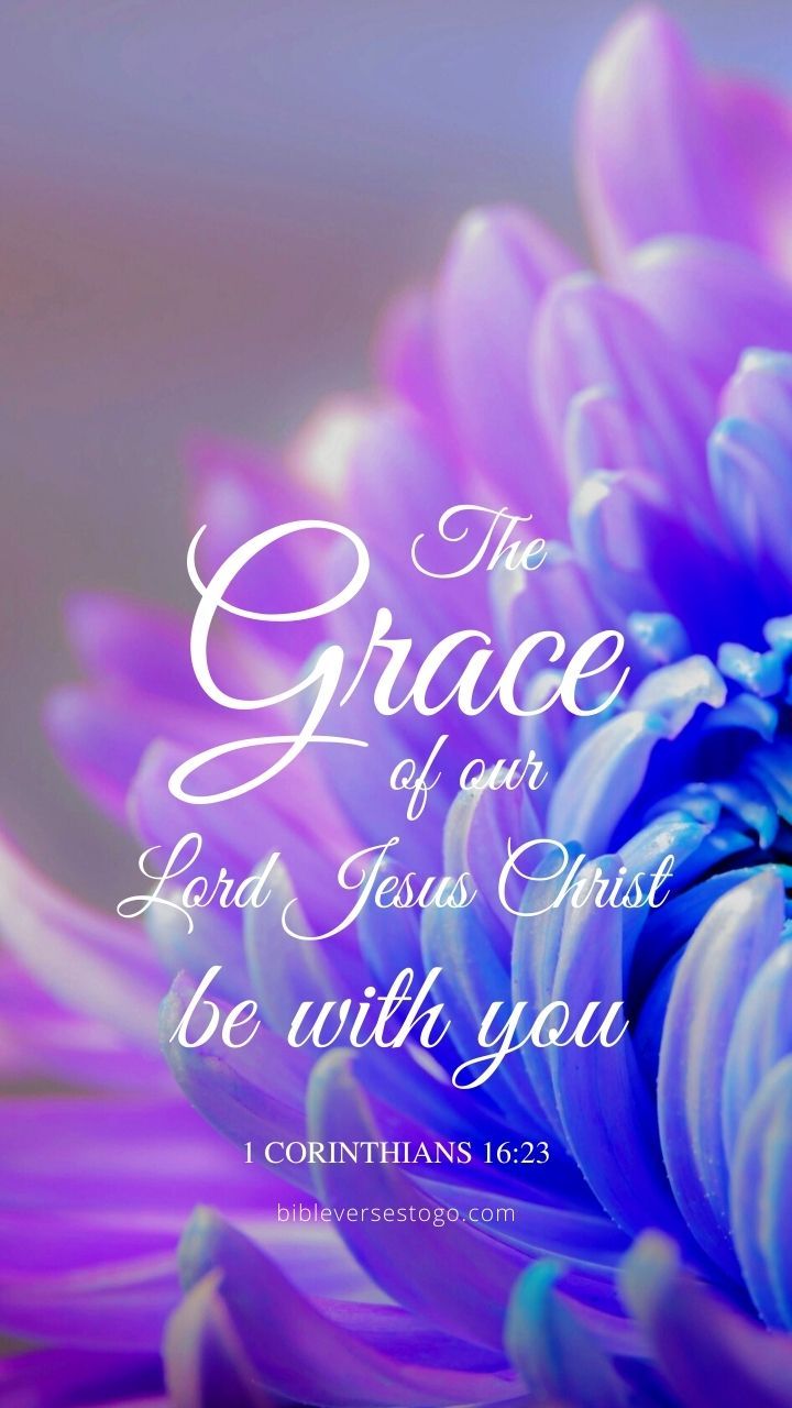 720x1280 Chrysanthemum 1 Corinthians 16:23