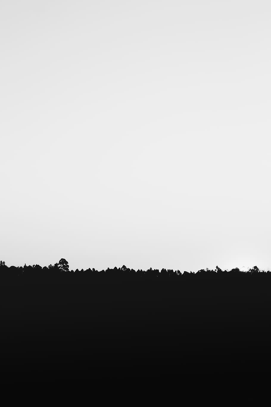 910x1365 silhouette, grass, white, sky, art, background, backlit, black and white