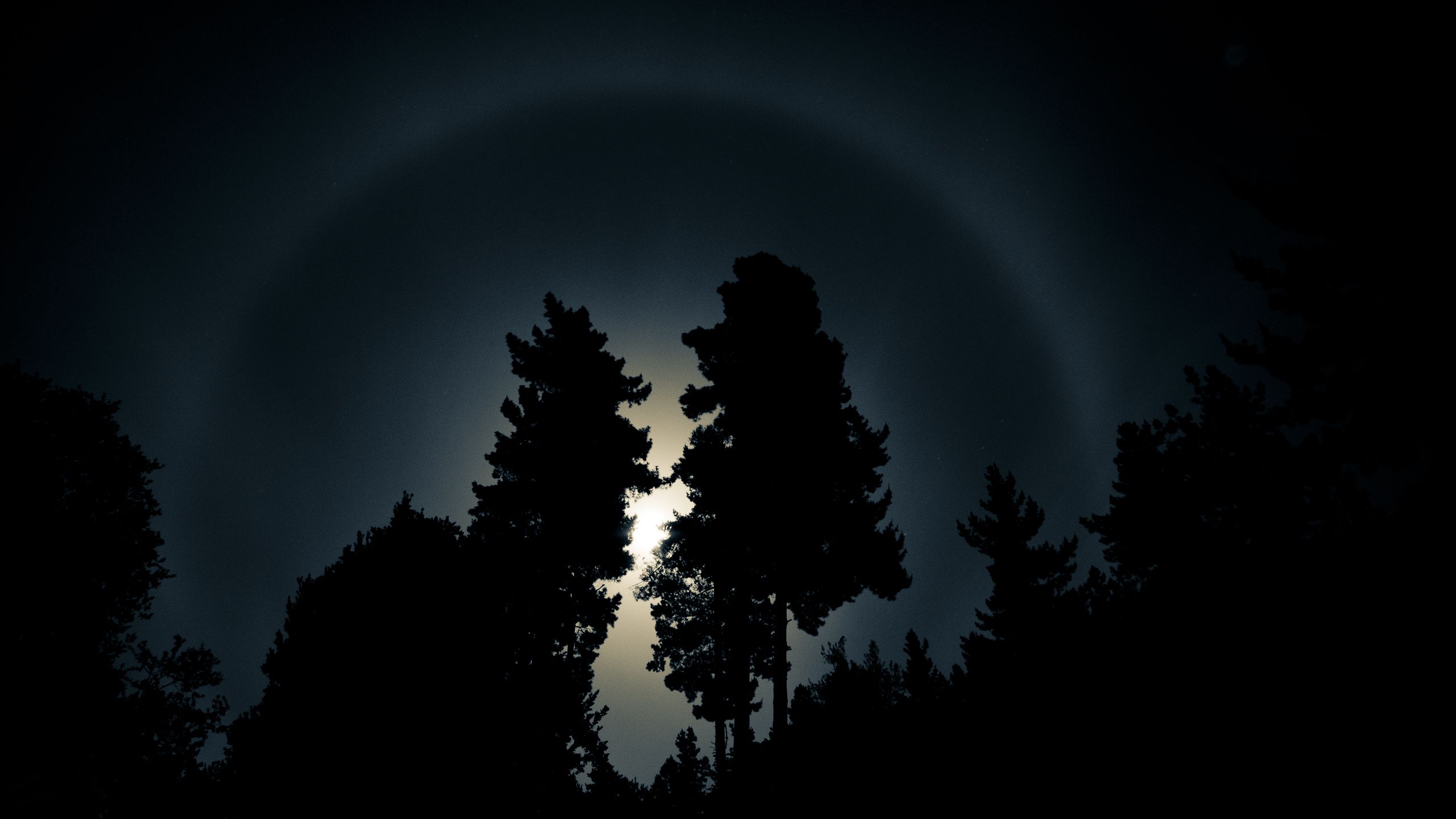 2560x1440 Rainbow in the dark” [Wallpaper]