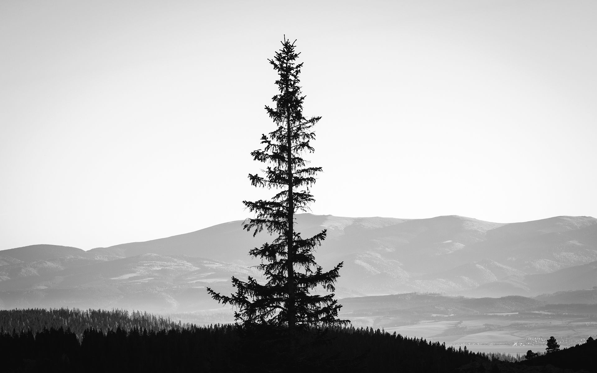1920x1200 monochrome, Black, White, Landscapes, Mountains, Sky, Silhouette Wallpaper HD / Desktop and Mobile Background