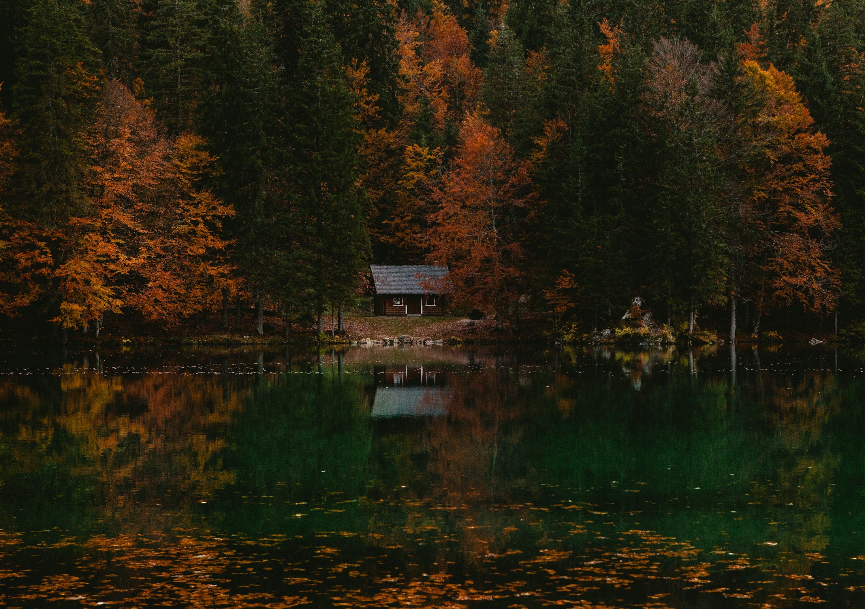 3000x2113 Cozy Wallpaper 4K & HD Downloads