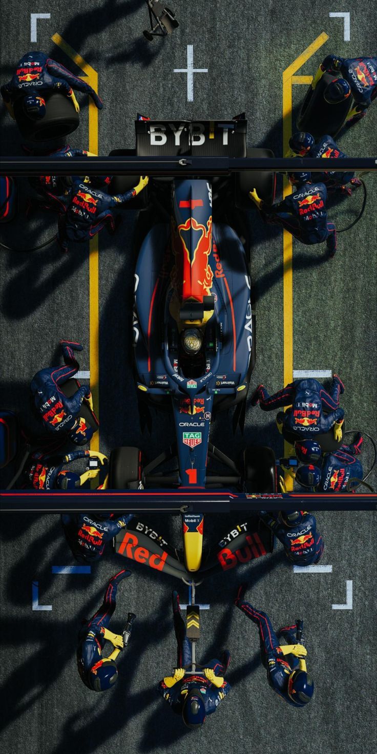 736x1472 Max Verstatppen pitstop. f1 poster