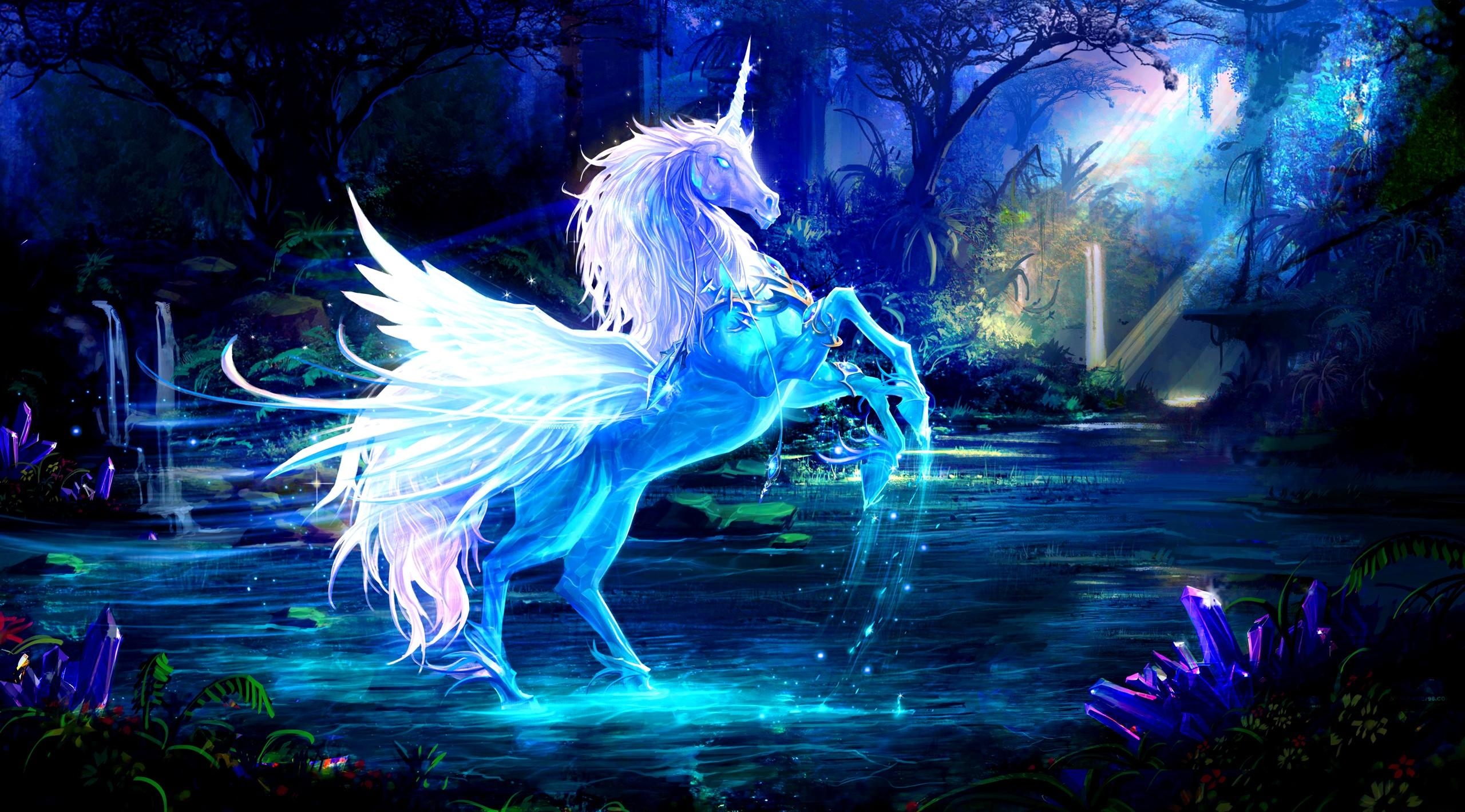2560x1420 unicorn, water, forest Wallpaper, HD Fantasy 4K Wallpaper, Image and Background