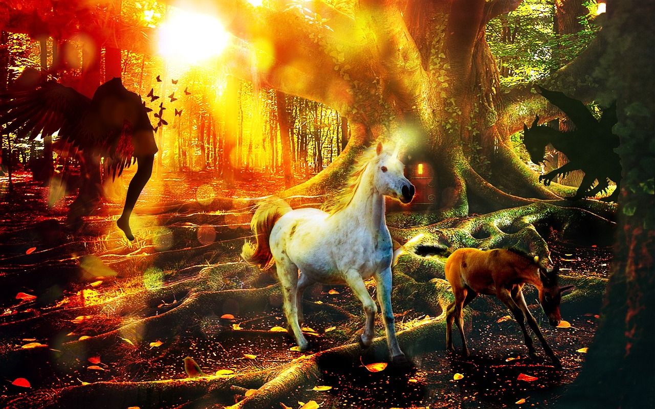 1280x800 Fantasy Unicorn Forest