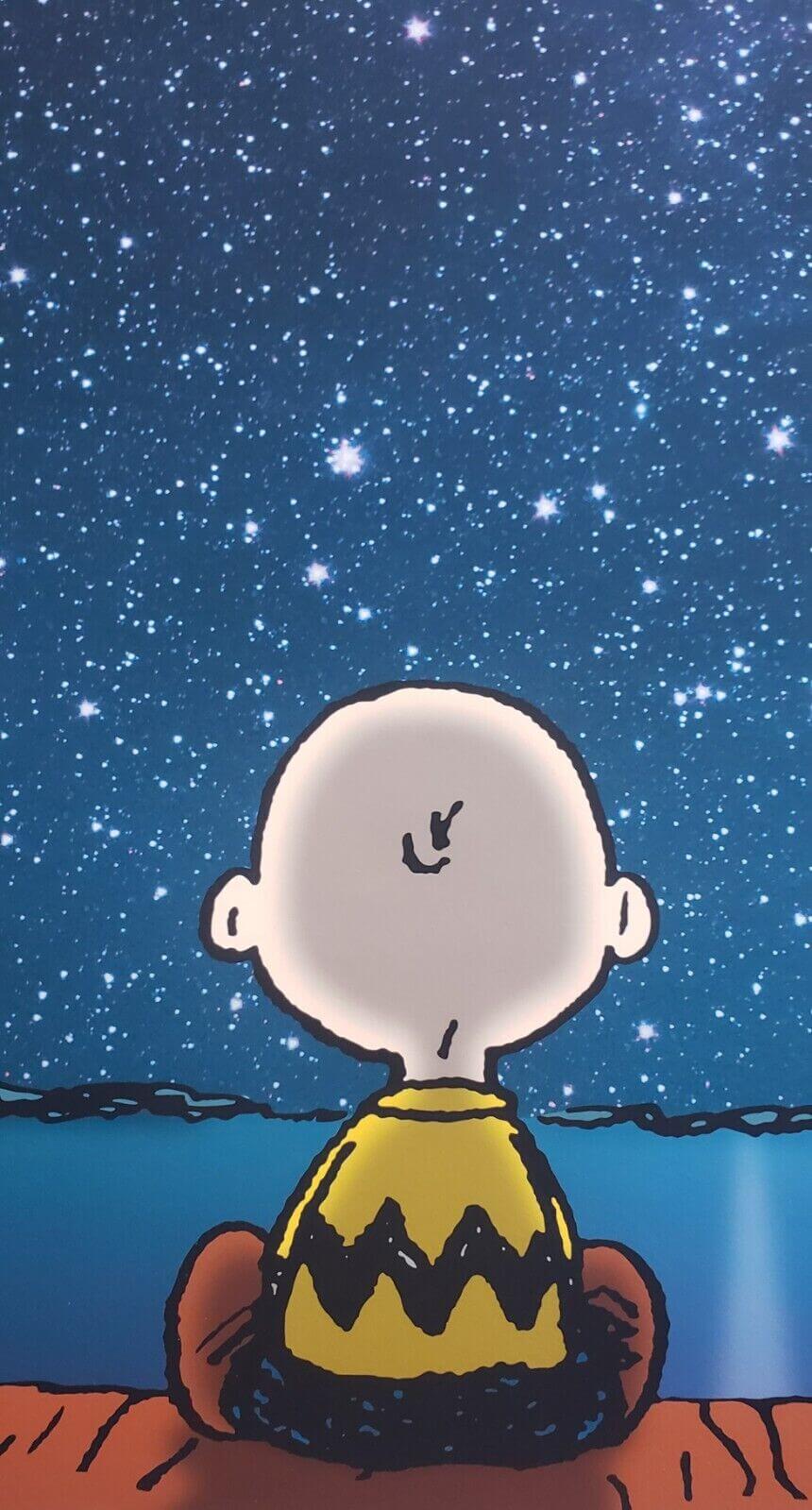 860x1599 Peanuts Stars Limited Edition Fine Art Print Snoopy & Charlie Brown NASA photo