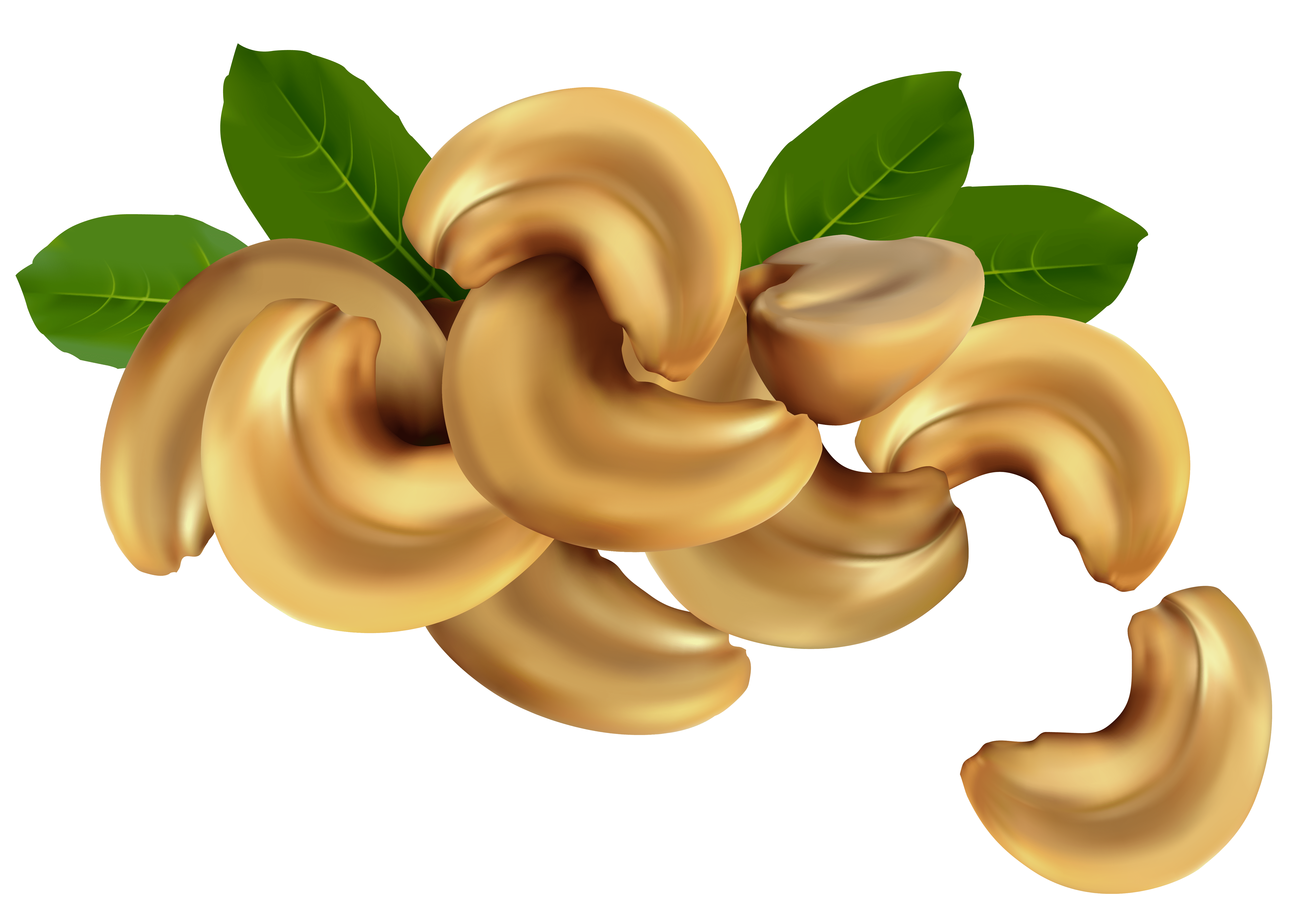 6021x4293 Cashew Nuts PNG Clipart Image Quality Image And Transparent PNG Free Clipart