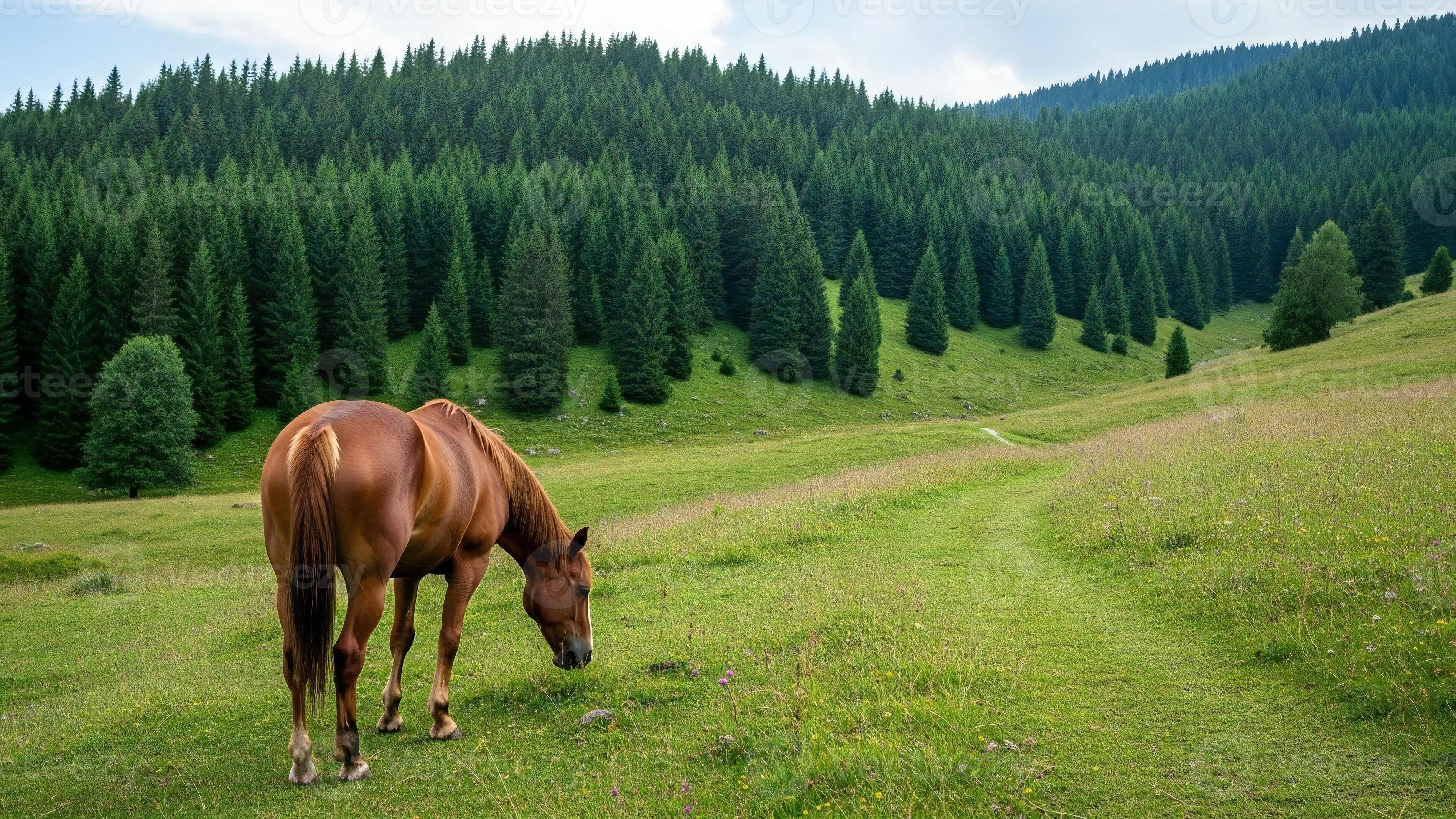3484x1960 Nature background, Nature wallpaper, A brown horse grazing in a grassy field with a pine forest on a hillside