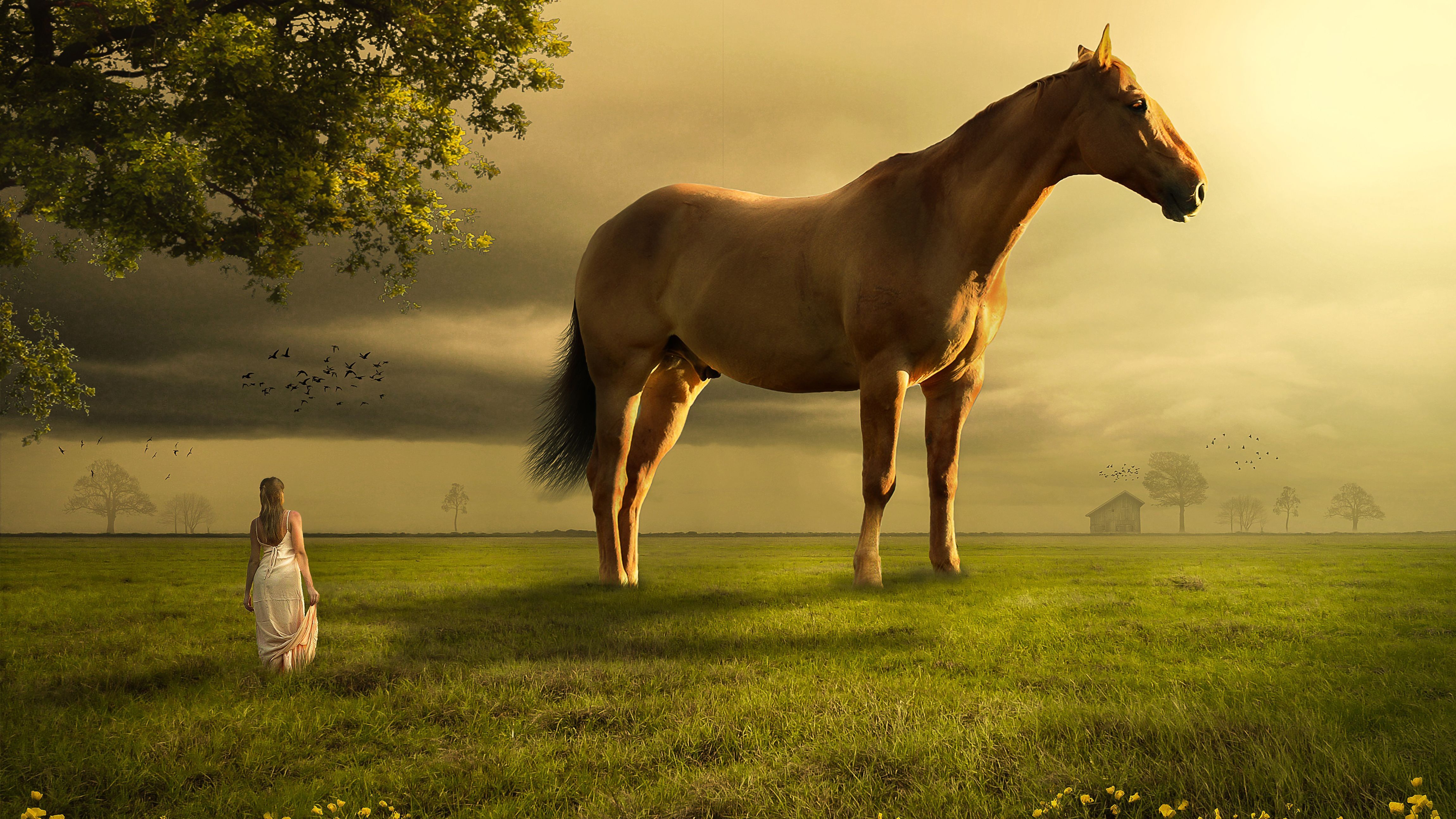 4600x2588 