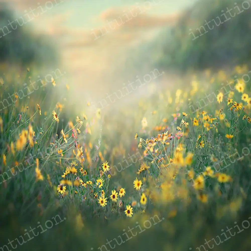 1000x1000 Morning Breeze