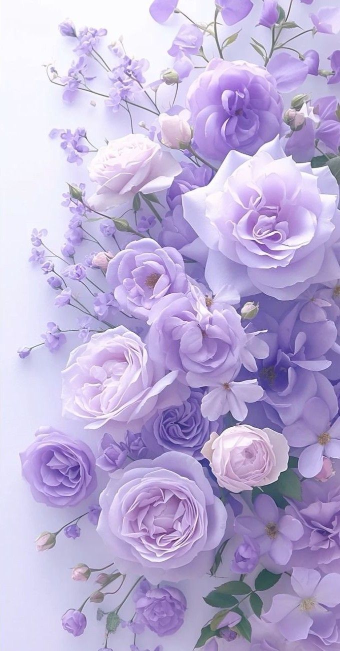 680x1303 Purple Flower Bouquet on White Background. Lavender rose bouquet, Pastel flower decor, Purple and white floral arrangement