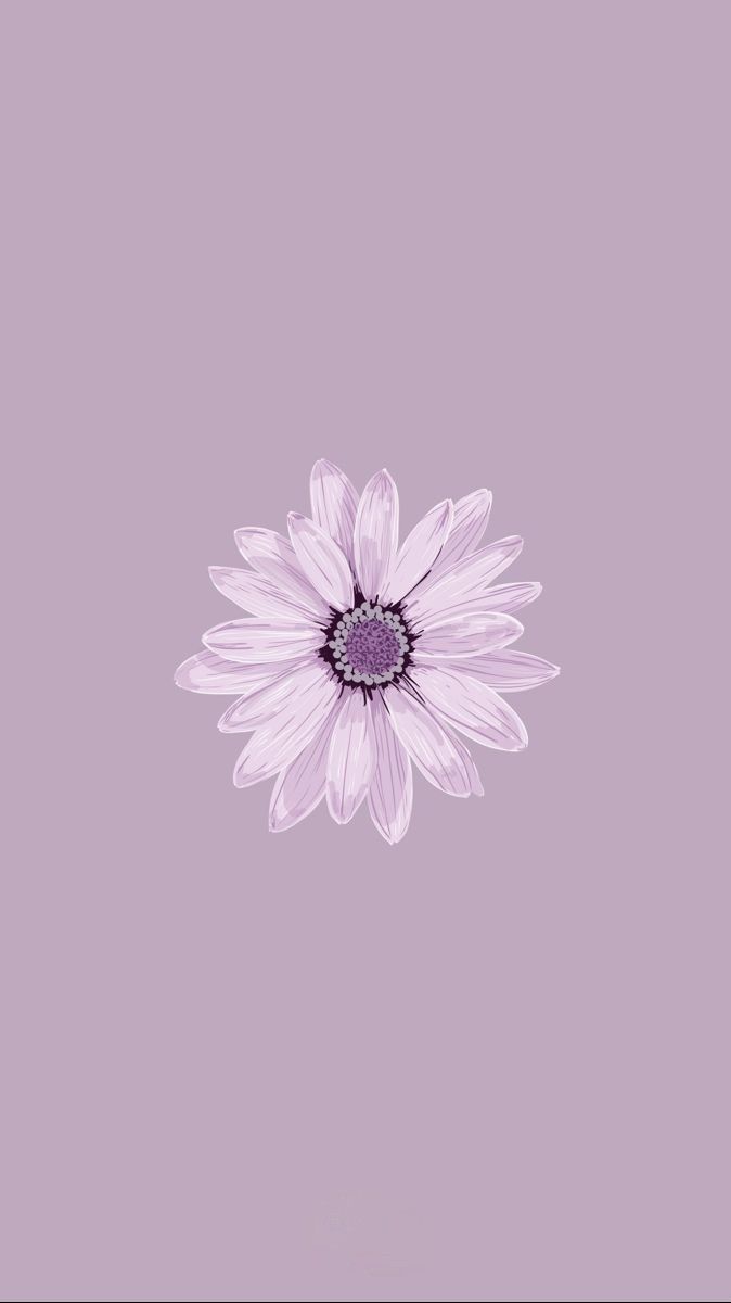 674x1200 Purple Flower Phone Wallpaper. Purple flowers picture, Cute wallpaper aesthetic purple flowers, Floral purple