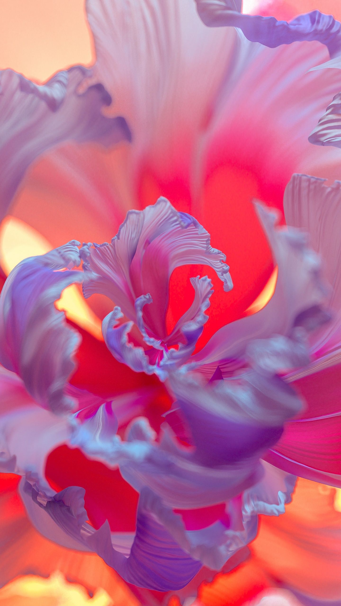 1440x2560 Purple Flower Wallpaper 4K, Floral Background, Colorful