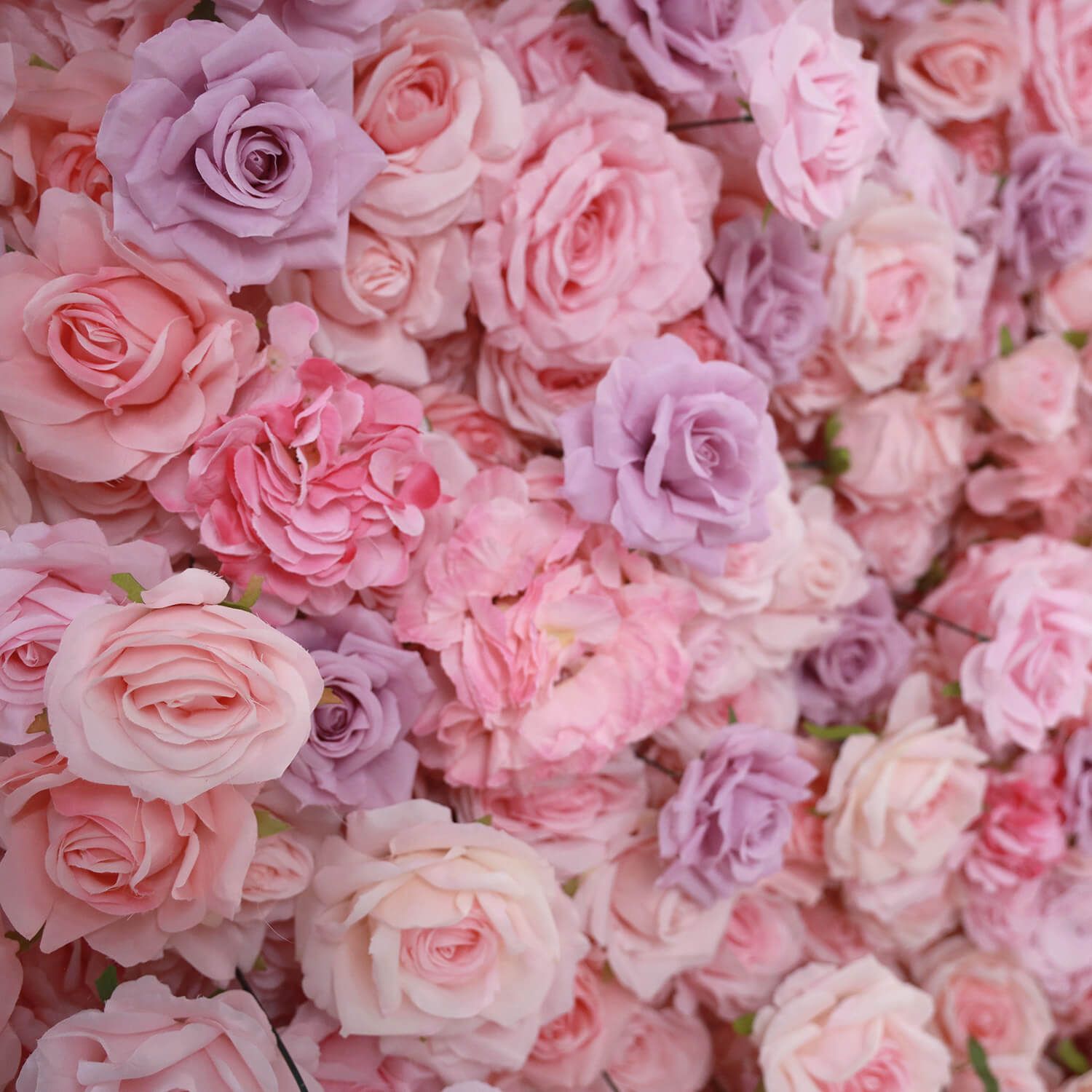 1500x1500 Pink and Purple Roses Flower Wall for Birthday Parties