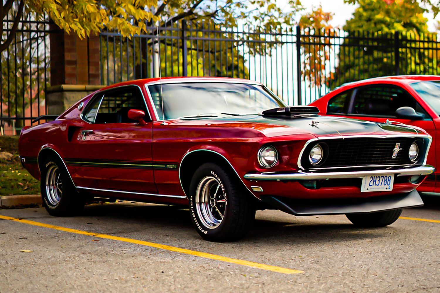 1500x1000 Ford Mustang 1969 Photo, Download The BEST Free Ford Mustang 1969 & HD Image