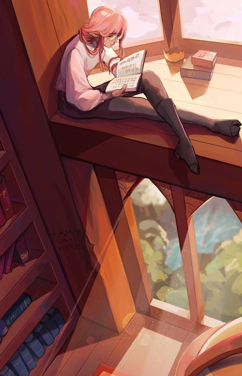800x1242 Technoblade, art, library, HD phone wallpaper