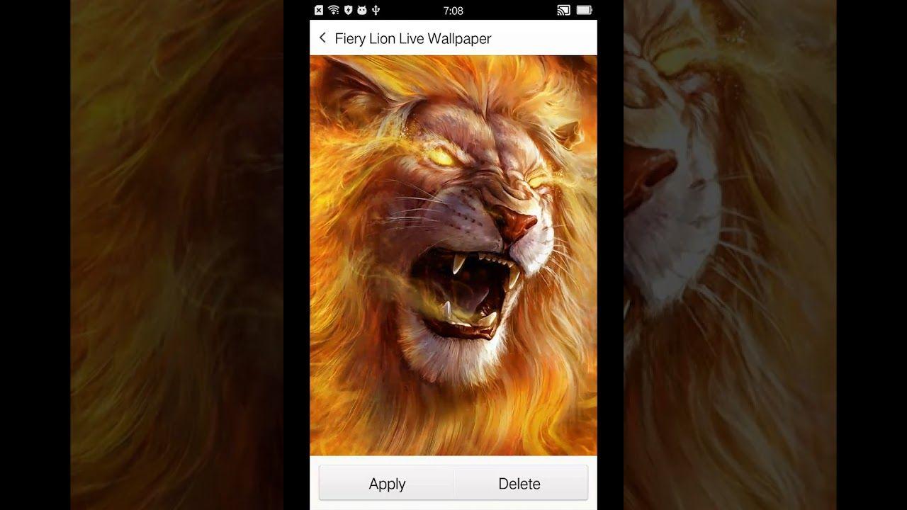 Gold Lion Wallpapers - Top Free Gold Lion Backgrounds - WallpaperAccess