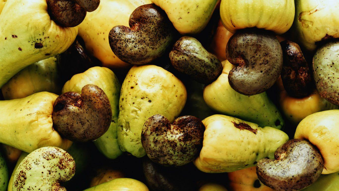1366x768 Yellow Cashew