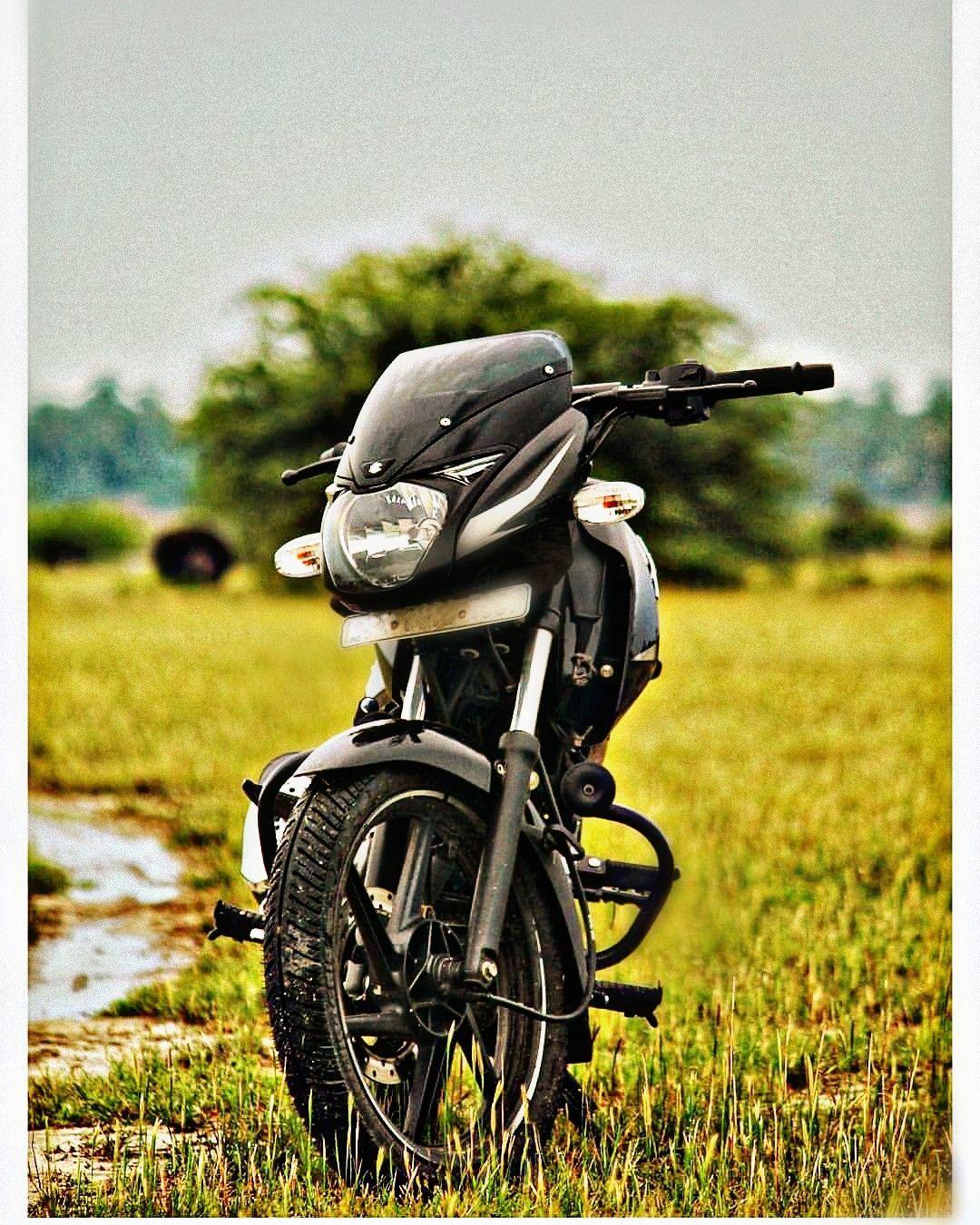 pulsar 150 black