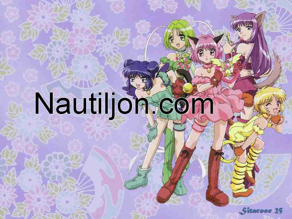1024x768 Tokyo Mew Mew Wallpaper (1024x768 px)