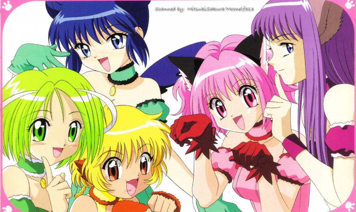 1173x700 Tokyo mew mew Meow meow power wallpaperx2141