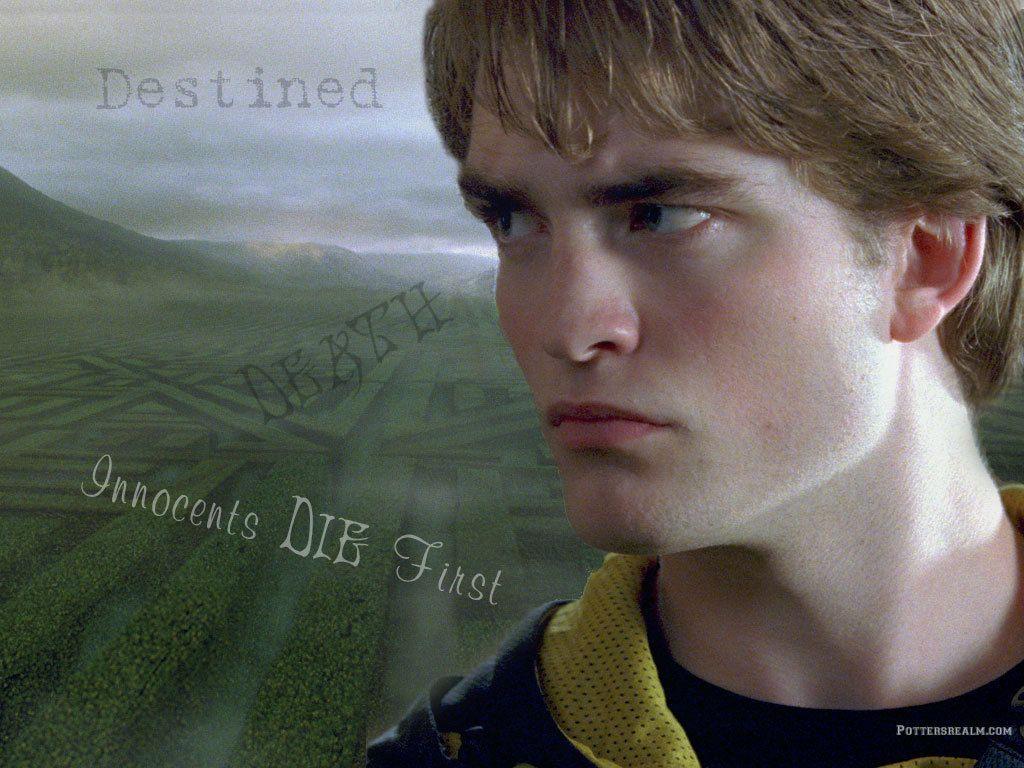 1024x768 Cedric Diggory Diggory fondo de pantalla