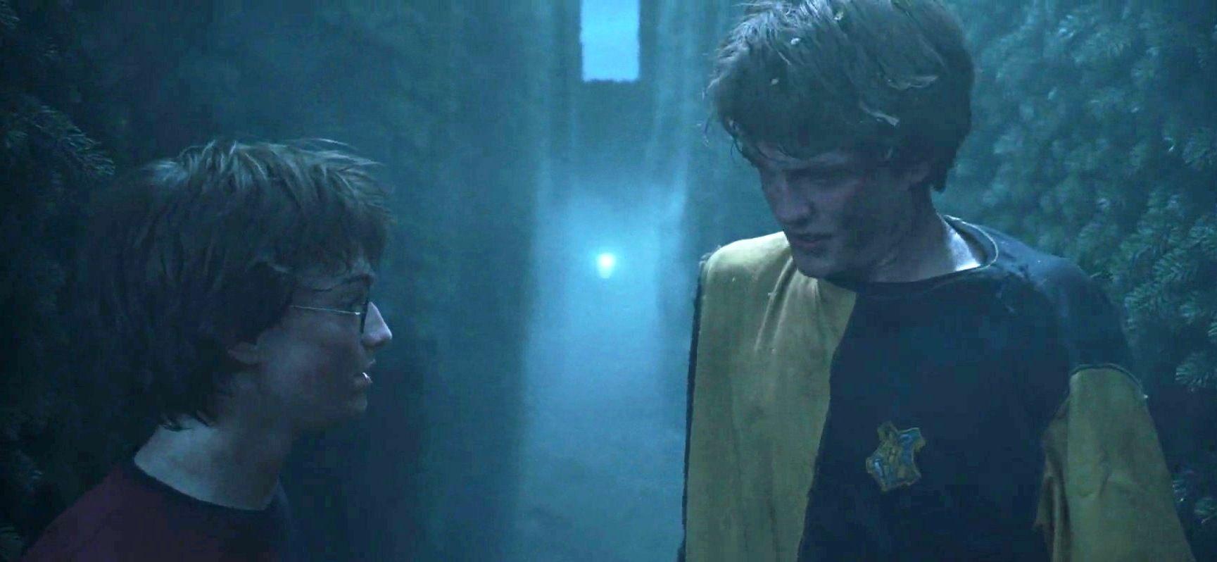 1729x798 Cedric Diggory