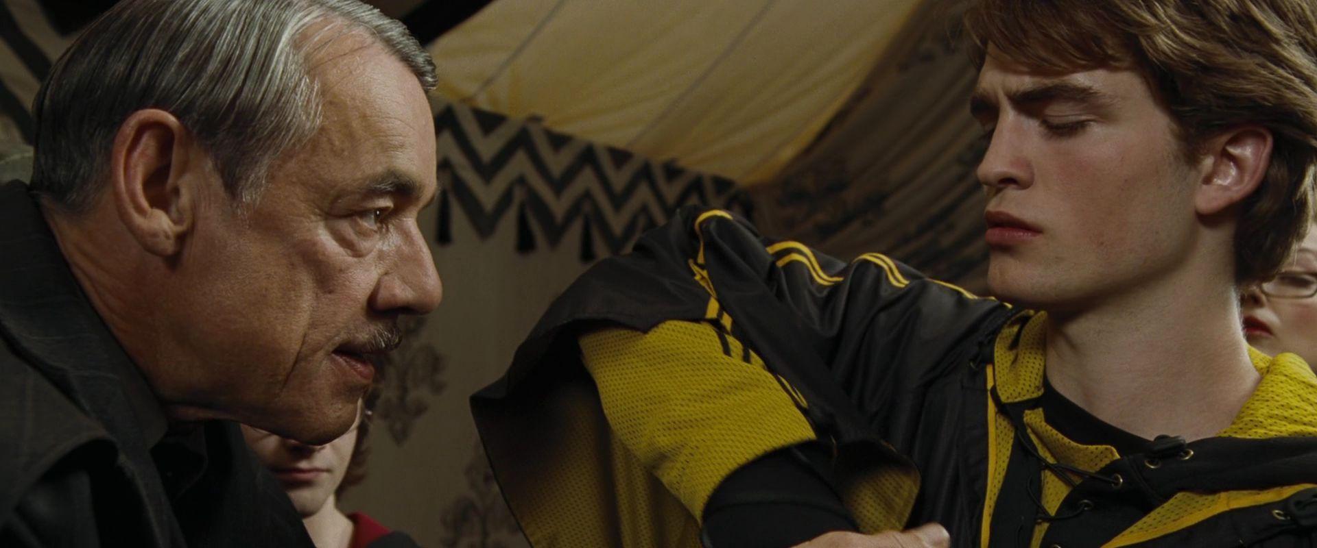 1920x800 Cedric Diggory: ISFJ