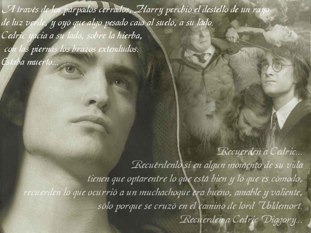 1024x768 Wallpaper, homenaje Cedric HarryMediaía de fotos de Harry Potter, Las Reliquias de la Muerte, Daniel Radcliffe, Emma Watson