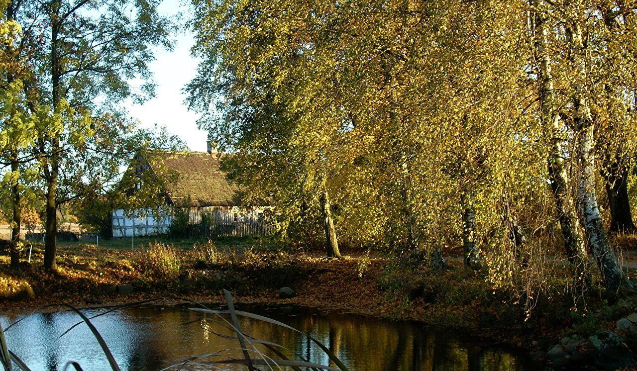 1280x746 Wallpaper Poland Gmina Kosakowo Birch Nature Scenery