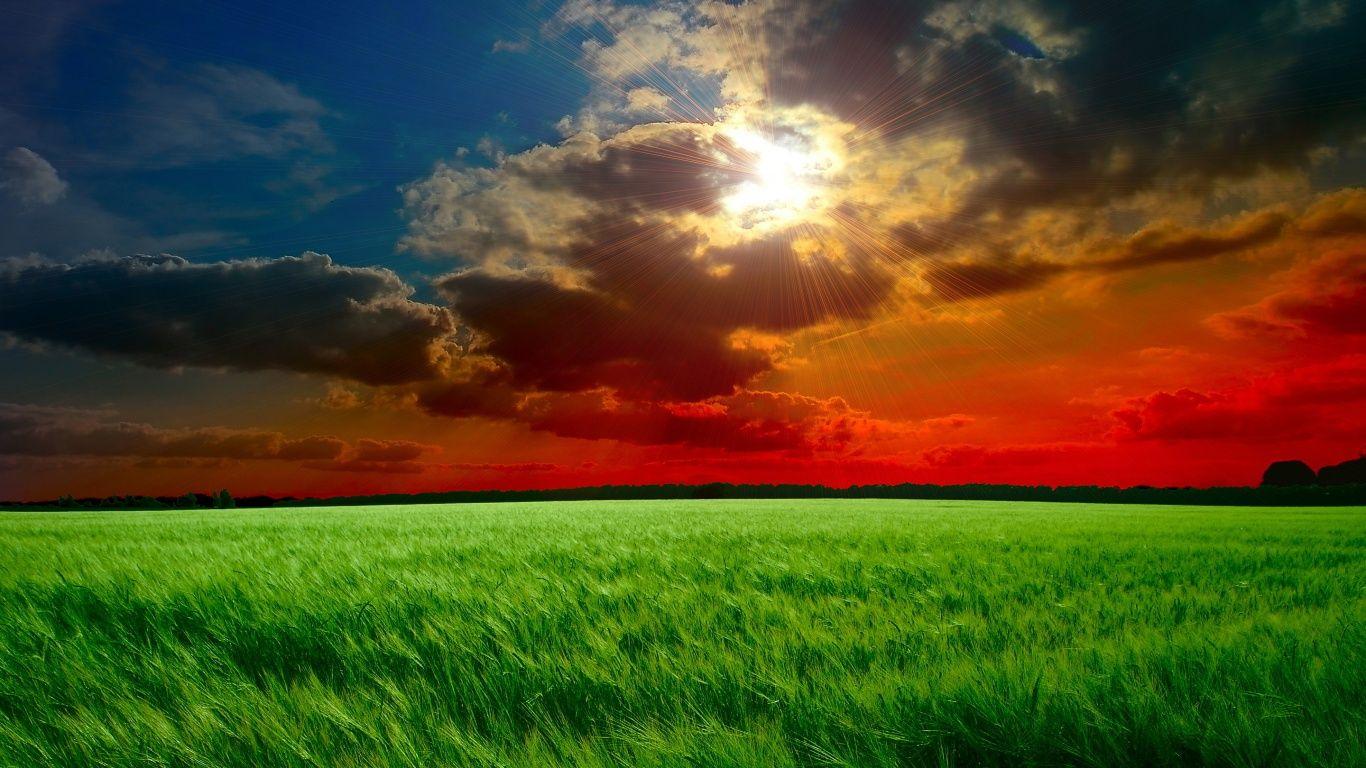 1366x768 Wallpapers - Top Free 1366x768 Backgrounds ...