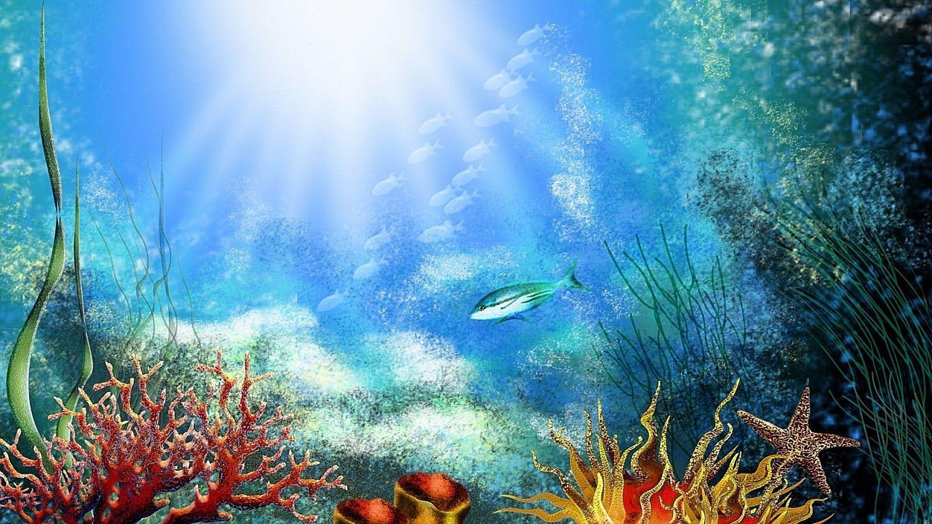 Seabed Wallpapers Top Free Seabed Backgrounds WallpaperAccess