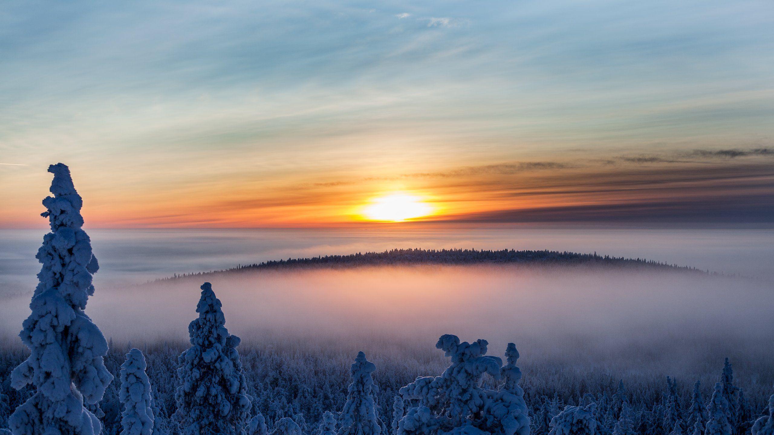 2560x1440 Sibelius' First Symphony: Romanticism and Structure
