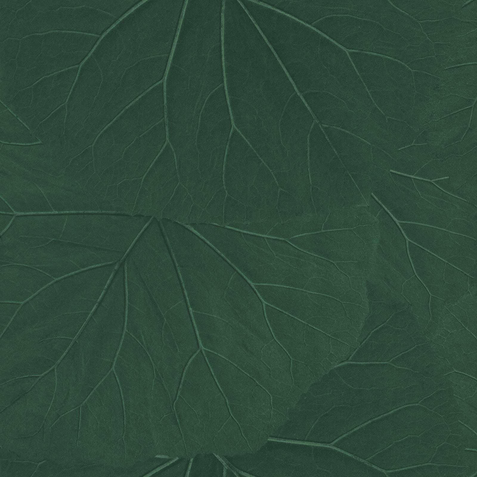 1600x1600 Non Woven Wallpaper Leaves 3D Floral Dark Green 138997