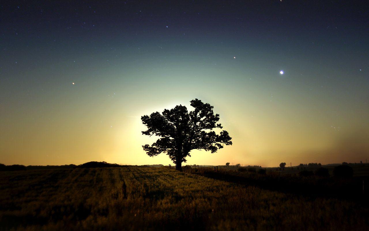 1280x800 3D Landscape Wallpaperx800