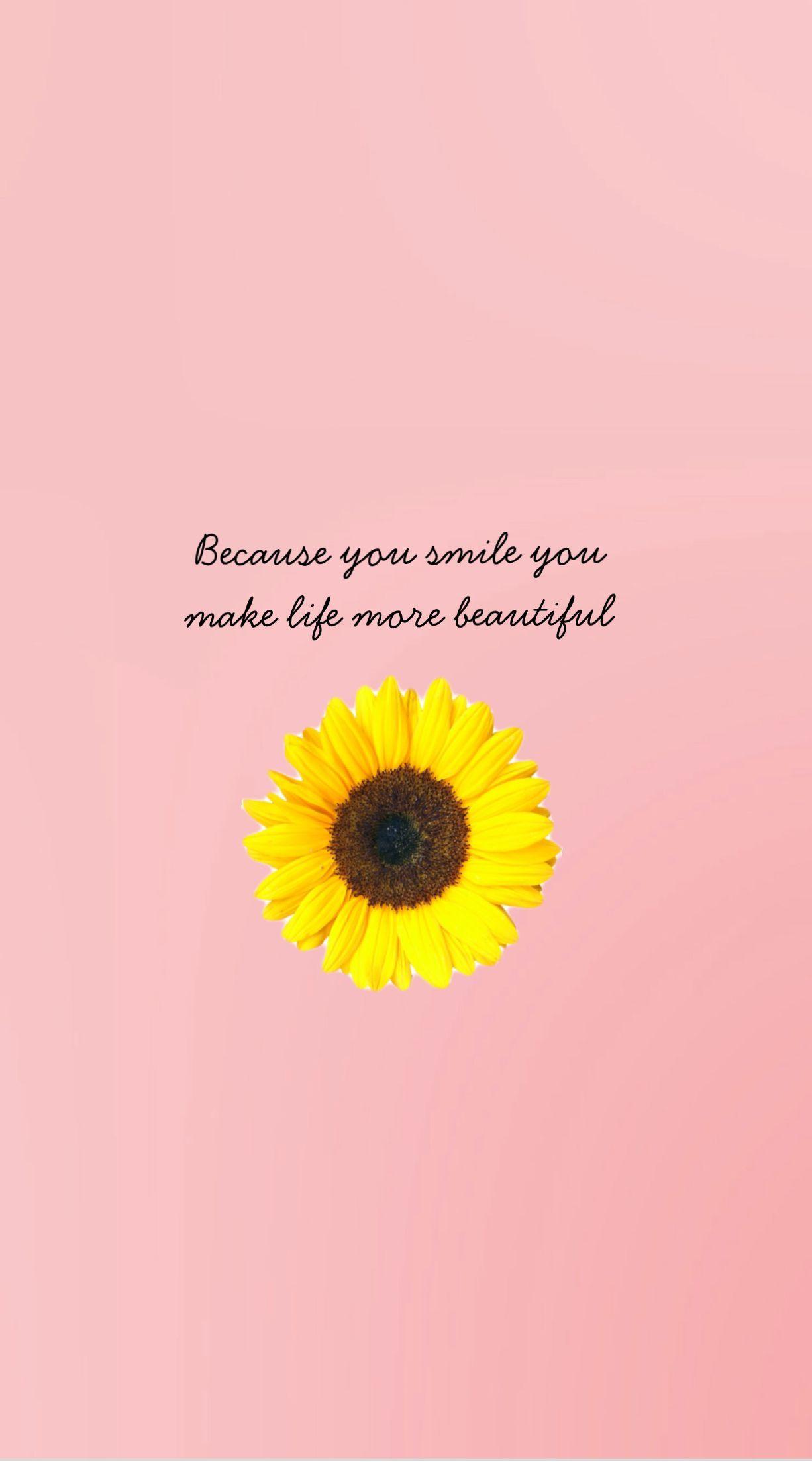 Sunflower Quotes Wallpapers - Top Free Sunflower Quotes Backgrounds