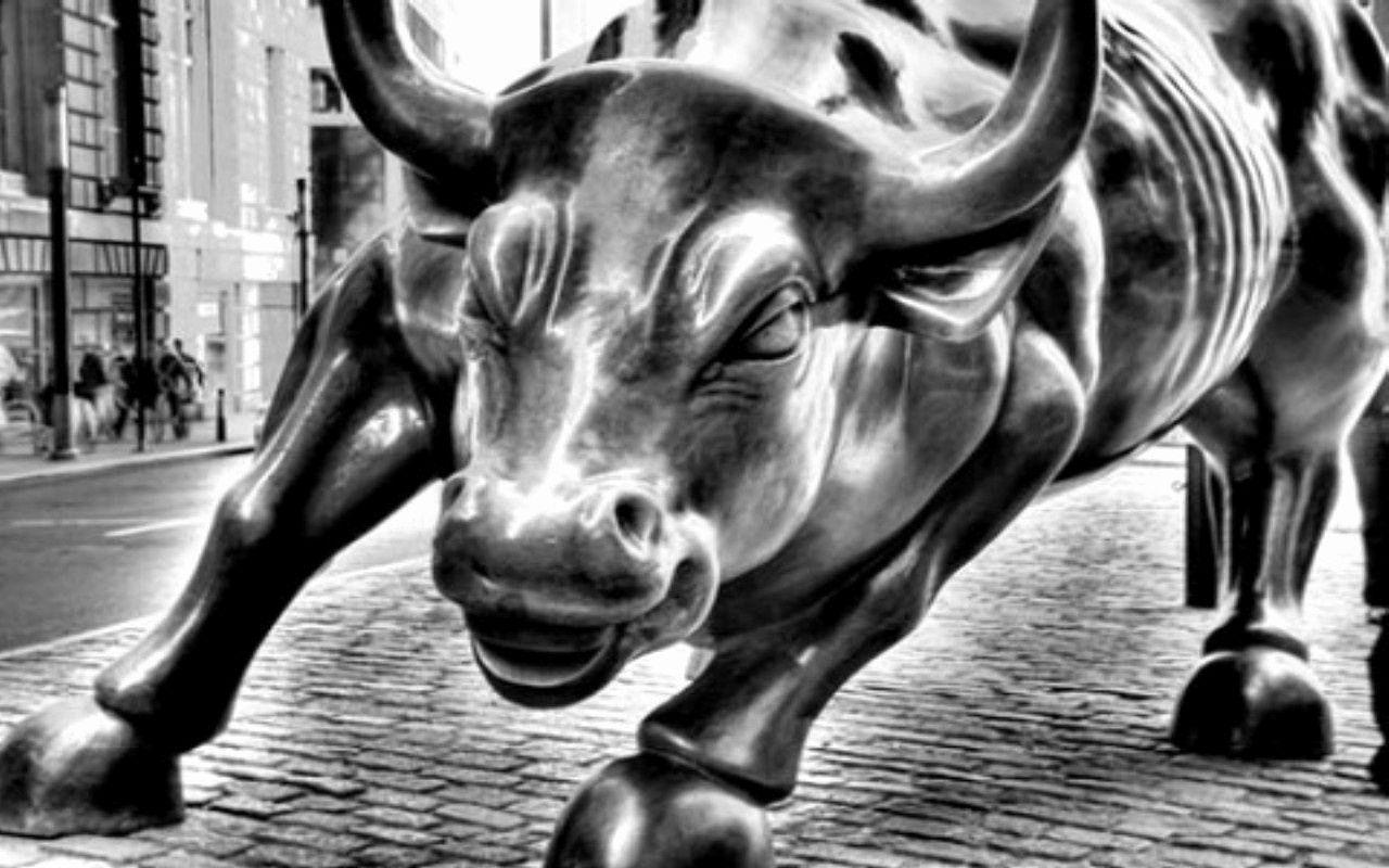 Wall Street Bull Wallpapers Top Free Wall Street Bull Backgrounds Wallpaperaccess