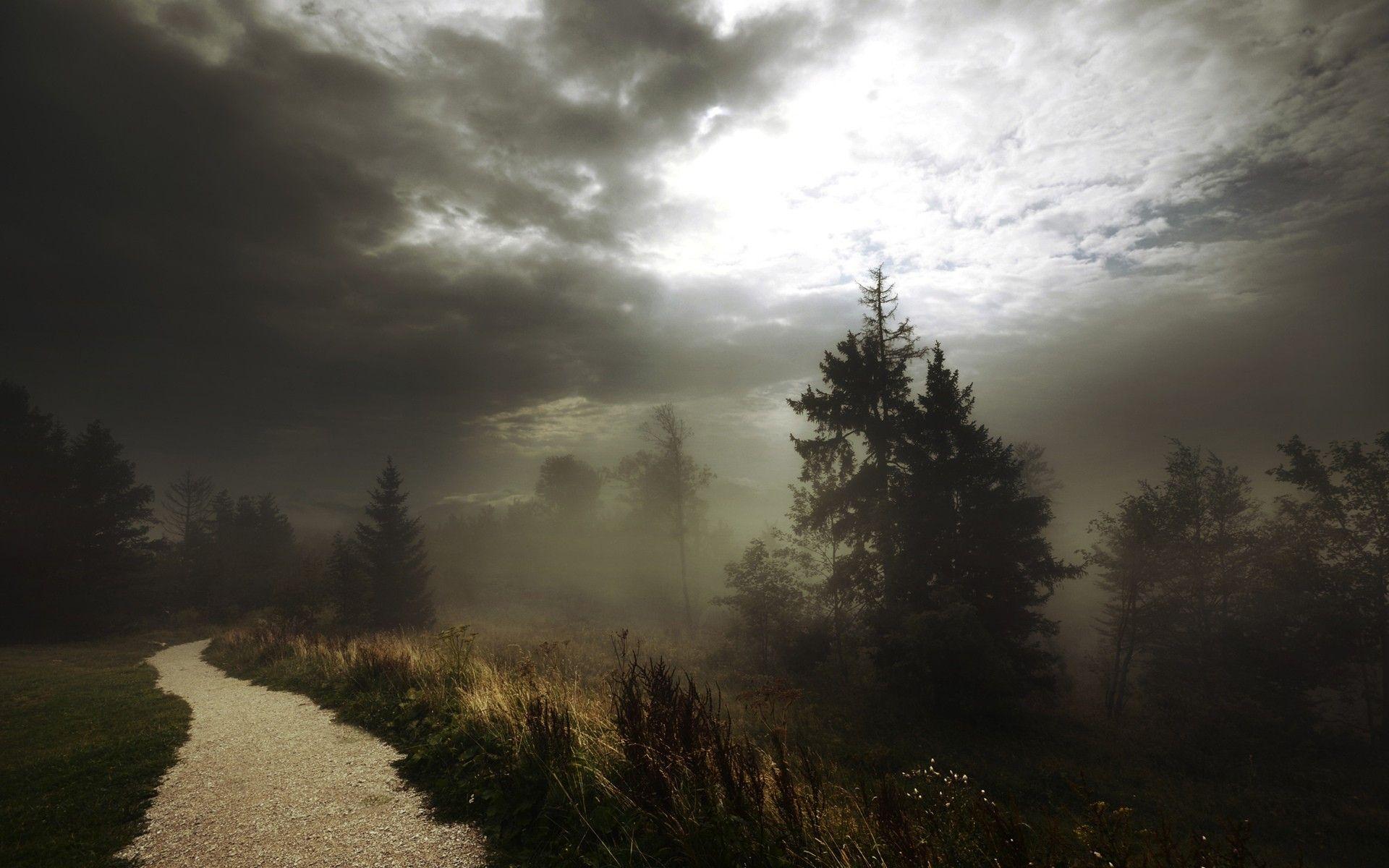 1920x1200 clouds, trees, forest, grass, fog, track, footpath wallpaper